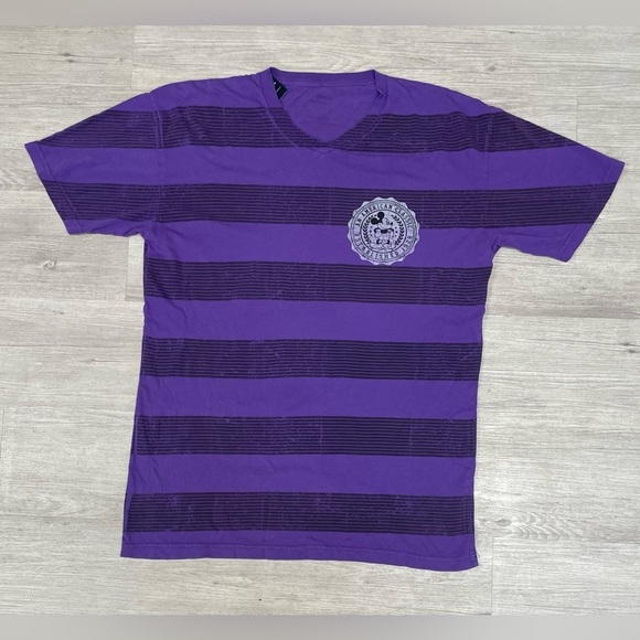 Disneyland Walt Disney World Distressed Purple Striped Mickey Mouse T-Shirt SZ L - Picture 1 of 3